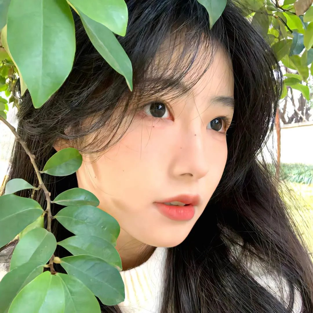 红木